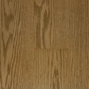 Plank- Bare