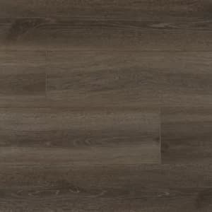 Marsh