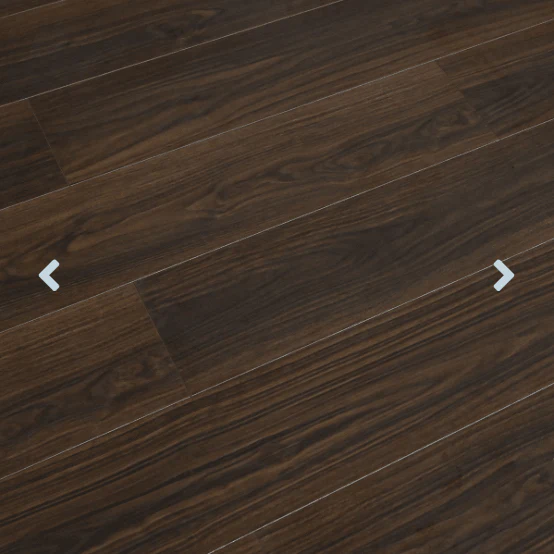 TF6601 Mesilla - Image 2